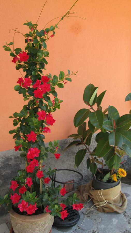 B&B Agora Sarzana Exterior foto